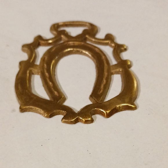 Antique Brass Horseshoe Wall Accent - Picture 5 of 6